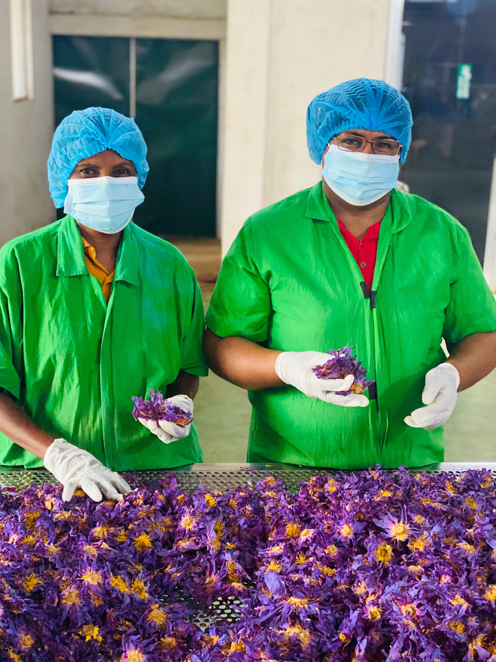 Prime Food Products processing team